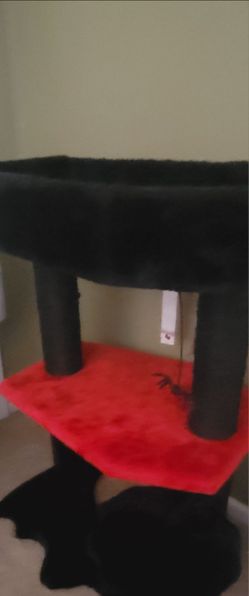 Coffin cat tree