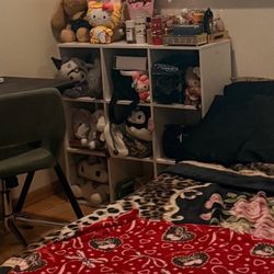 Bookshelf/ Cubby 