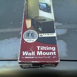 Tilting Wall Mount 