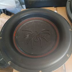 12-in Subwoofer