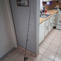 Microspin Rod And Reel