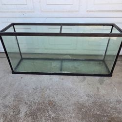 Large tank!