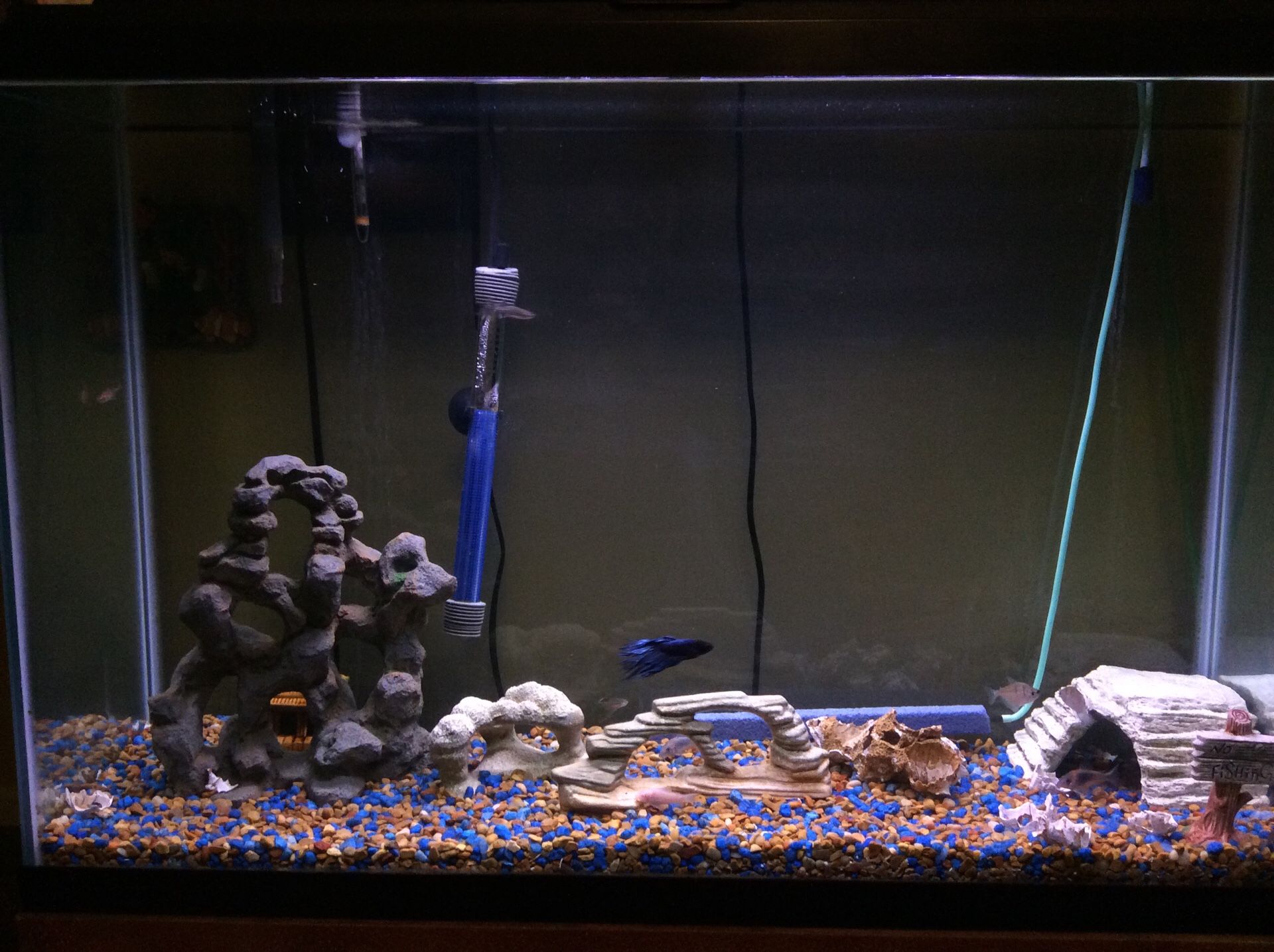 40 Gallon (Tall) Fish Tank Aquarium with Metal stand