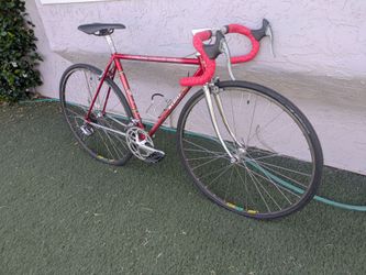 Vintage Medici Pro Strada Road Bike - Tange Prestige Steel - Size S
