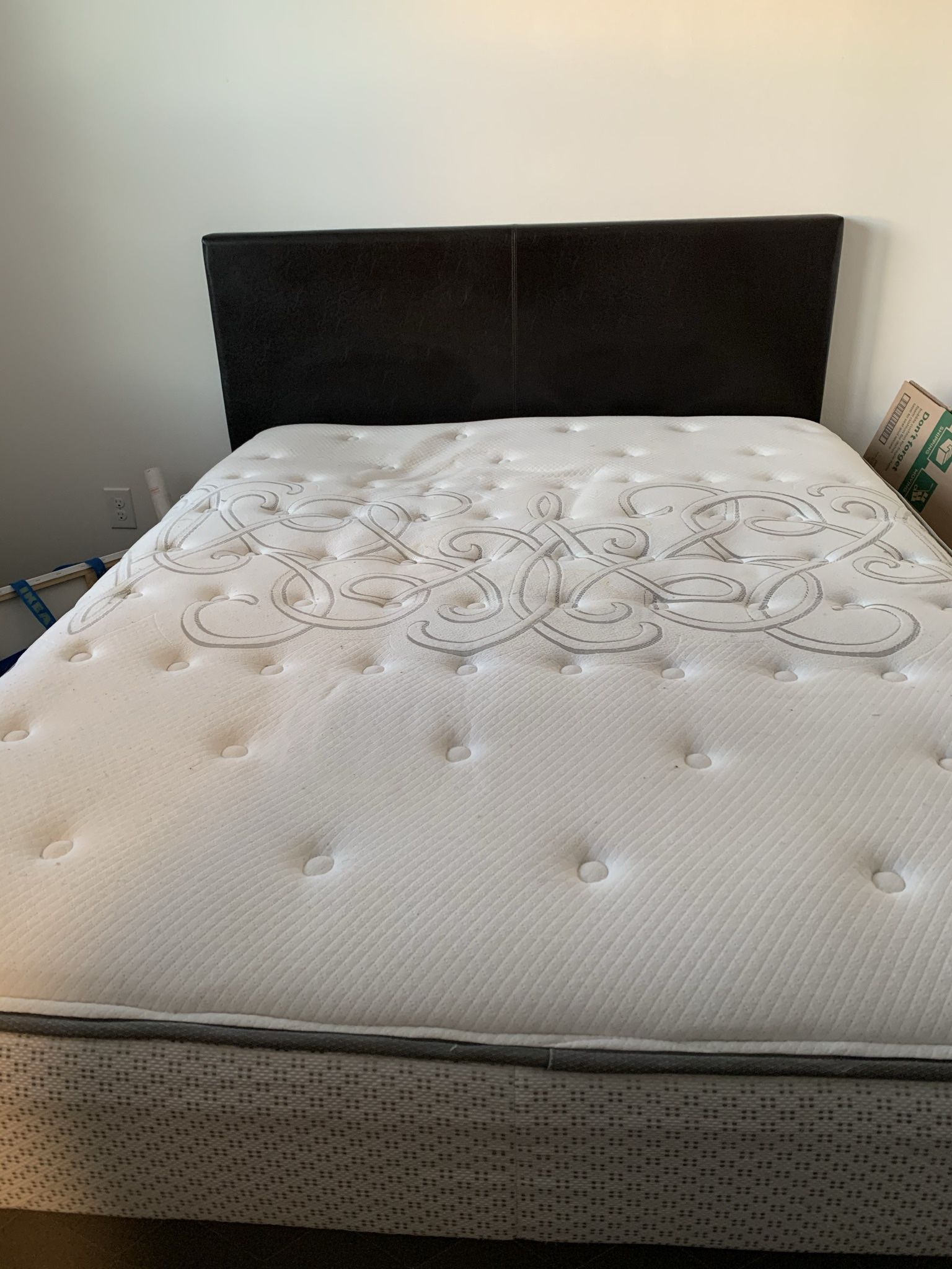 Sealy Mattress Bed set
