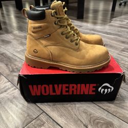 Wolverines Work Shoe 