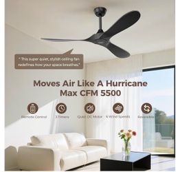Modern 52” black ceiling fan indoor/outdoor