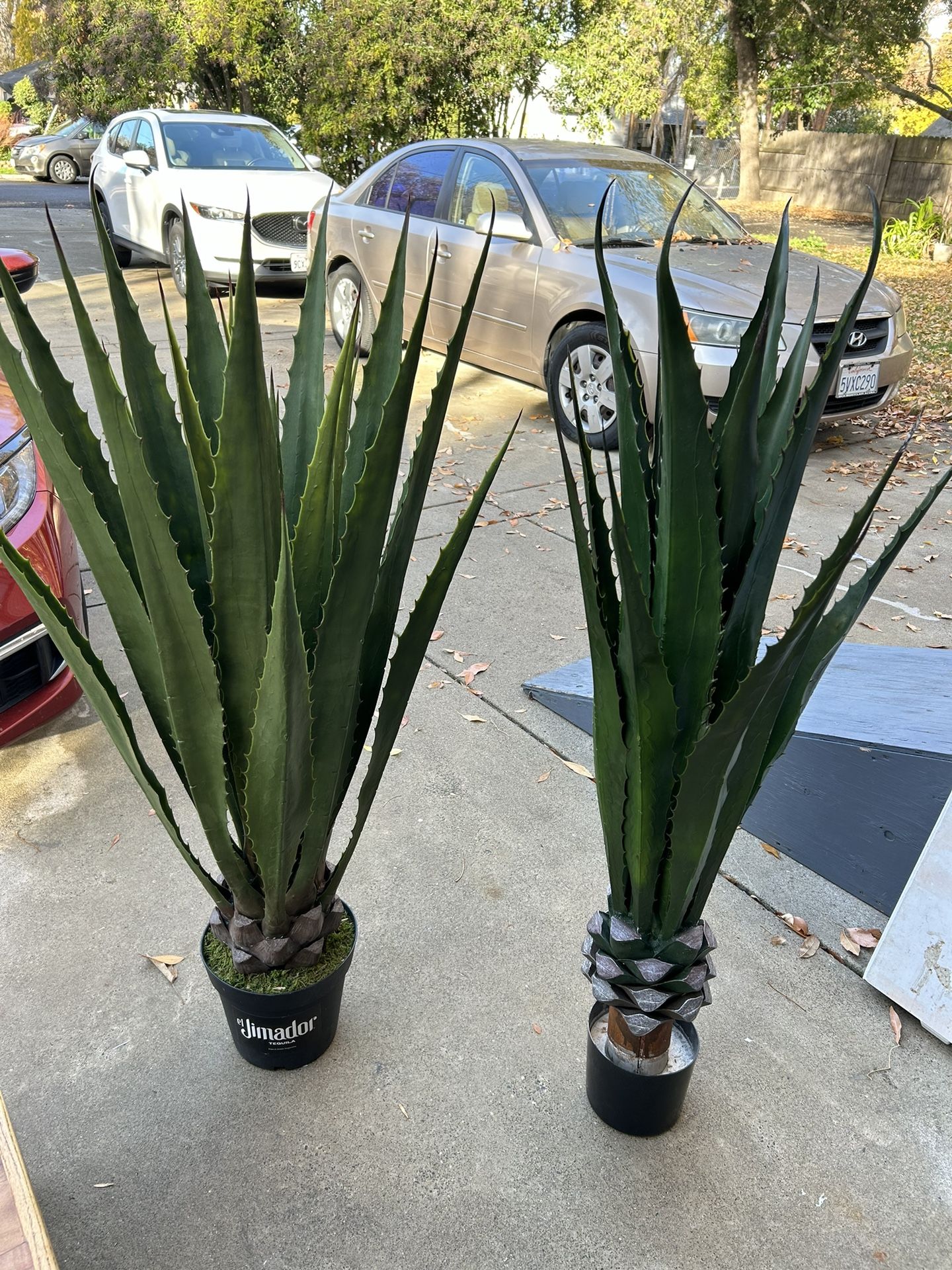 Fake Agave Plants About 4’ Tall $80 For Both