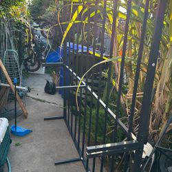 Cal King Frame New Just Put Out First 20 Takes It