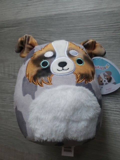 Raylor Squishmallow 8inch