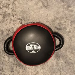 Pro Mex Punch Shield