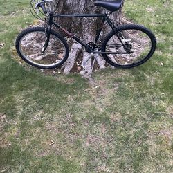26” trek mountain bike (large frame)