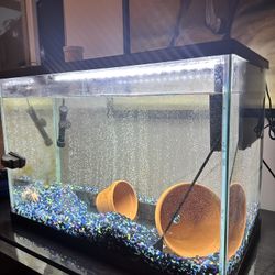 Fish Tank And Lighting 