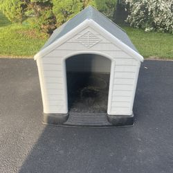 Dog House