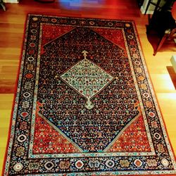Persian Bidjar tekab 7'x10' Woven Wool Traditional Area Rug