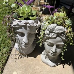 Succulent Heads