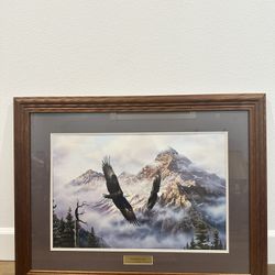 Beautiful Eagle Framed Picture By Rick Kelley “Land Of Freedom”