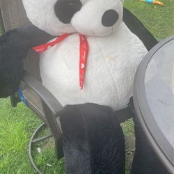 Giant Panda Bear 