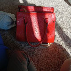 Brand New Purse ,2 In One.