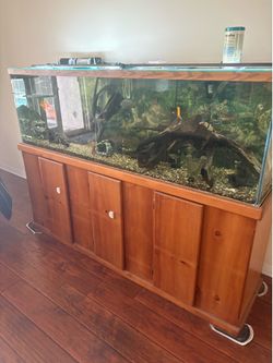 125 gallon fish tank