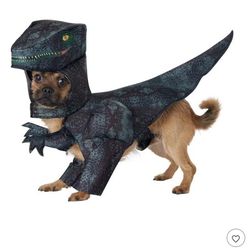 New alifornia Costumes Pupasaurus T-Rex Pet Costume, LARGE( reseda ca)