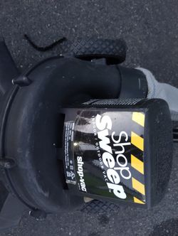 Shop Sweeo Indoor Outdoor Vacuum