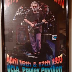 JERRY GARCIA FRAMED ART