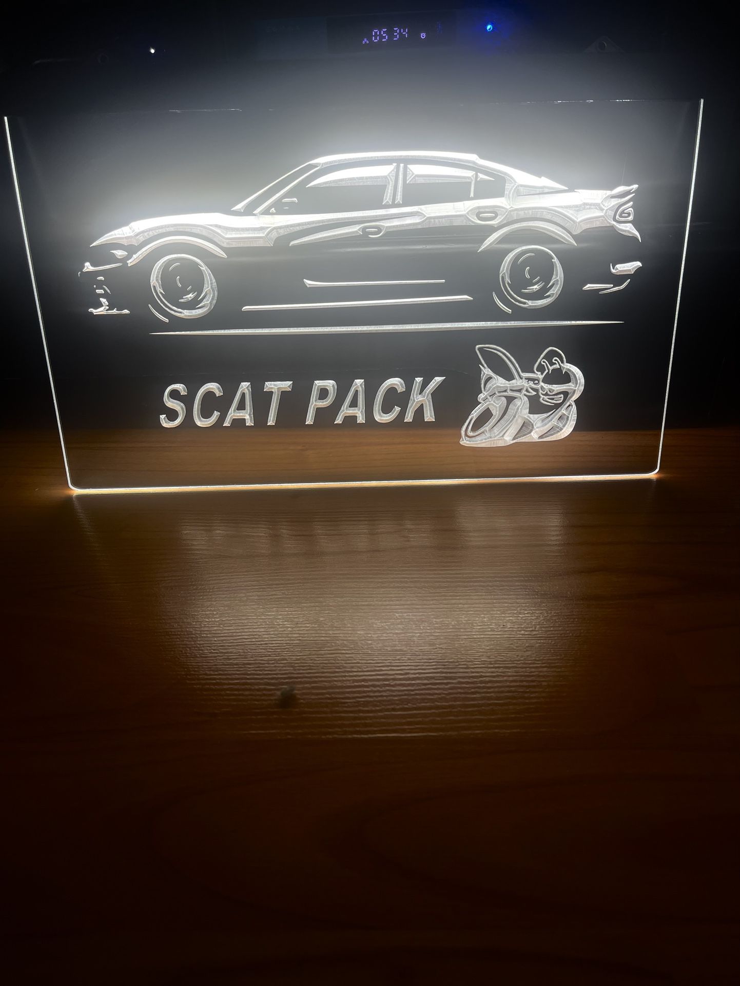SCAT PACK LED NEON WHITE LIGHT SIGN 8x12