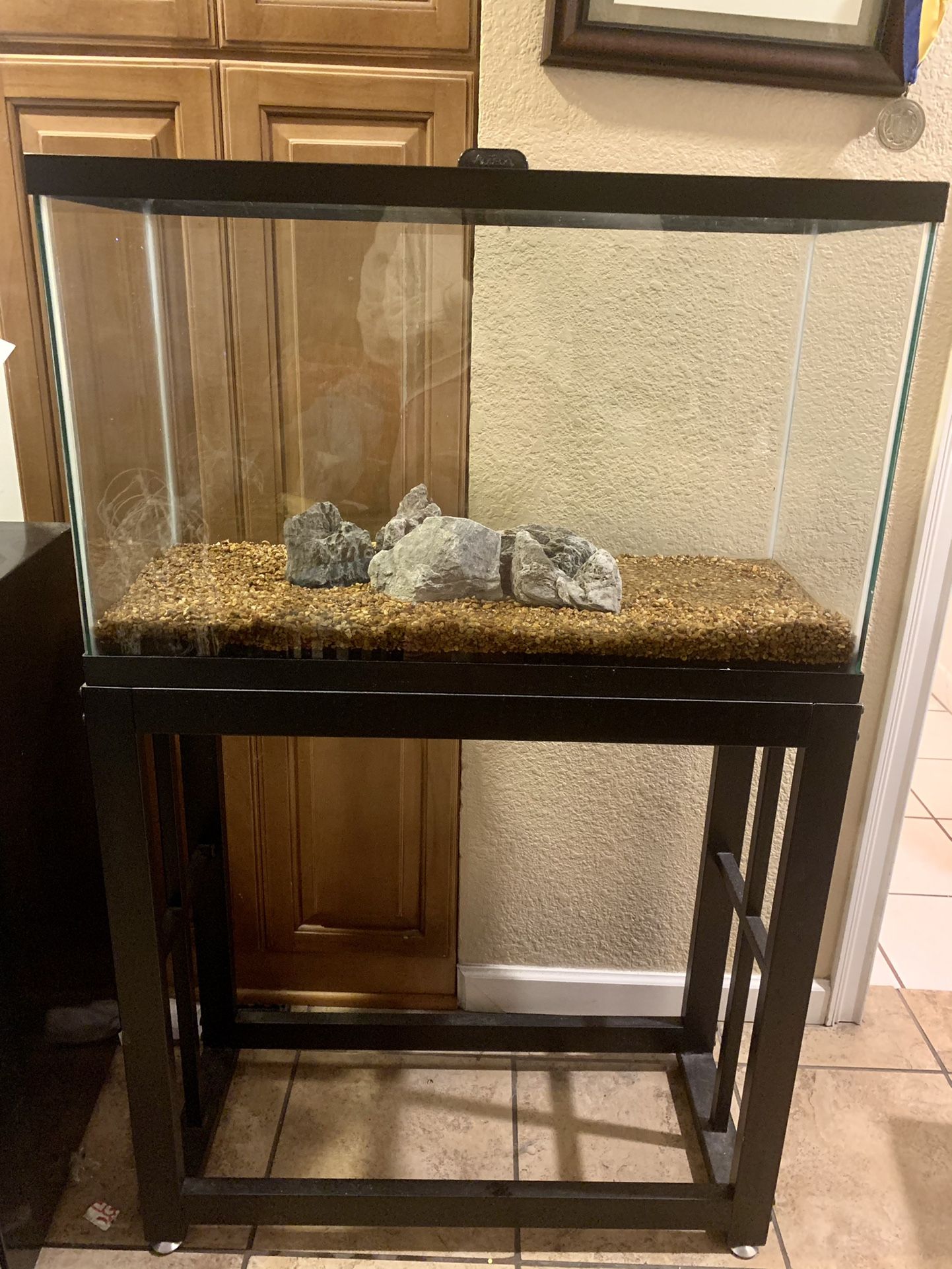 Aqueon Glass Aquarium 29 Gallon (Fish Tank)