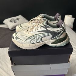 Pumas