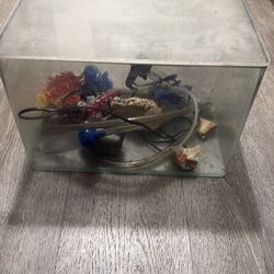 10 gallons Fish, Tanke,