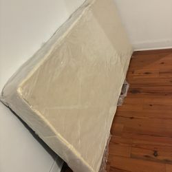 Free Twin Boxspring 