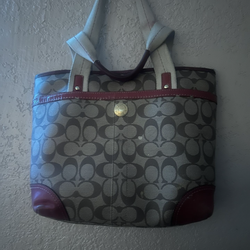 Coach bag