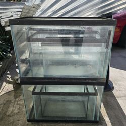 fish tank for sale