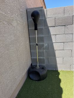 Standing Punching Bag