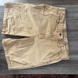 Carhart Jorts