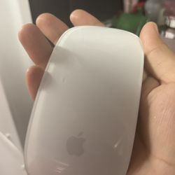 Apple Mouse