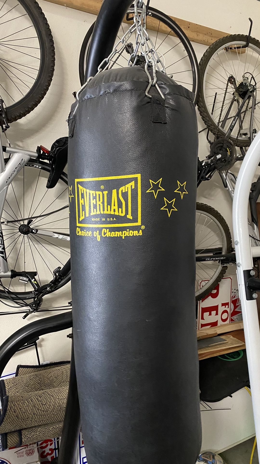 Everlast Punching Bag for MMA-Boxing with Gloves
