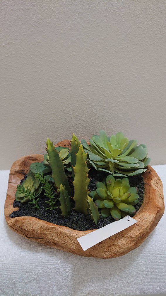 Succulent Plant W/Wooden Pot 🌵