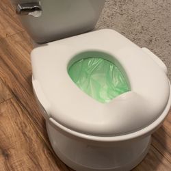 Potty Training Toilet