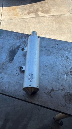 Exhaust pipe muffler