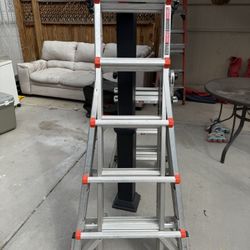 LADDER