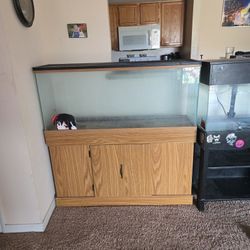 Reptile/ Fish Tanks 
