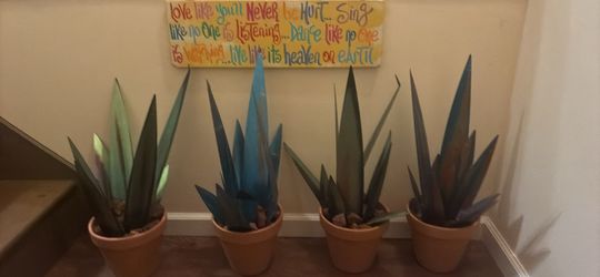 Agave metal plants in clay pots
