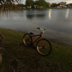 BIG RIPPER SE bike 29inch