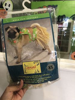 Dog Halloween Costume