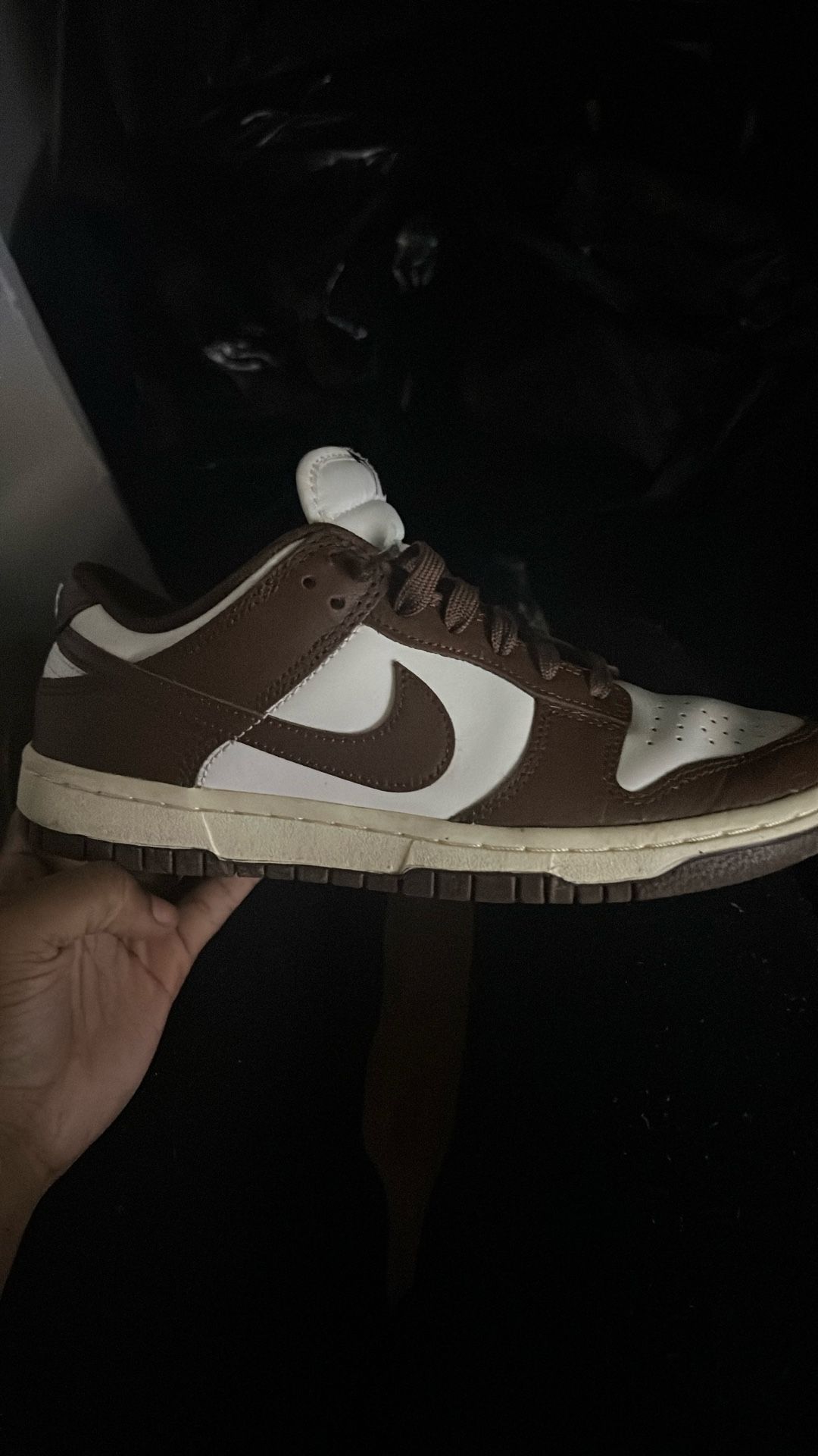 dunks  size 7