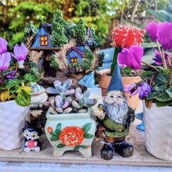 PLANT SALE SATURDAY IN SAN LORENZO. DM FOR APPT PLEASE
