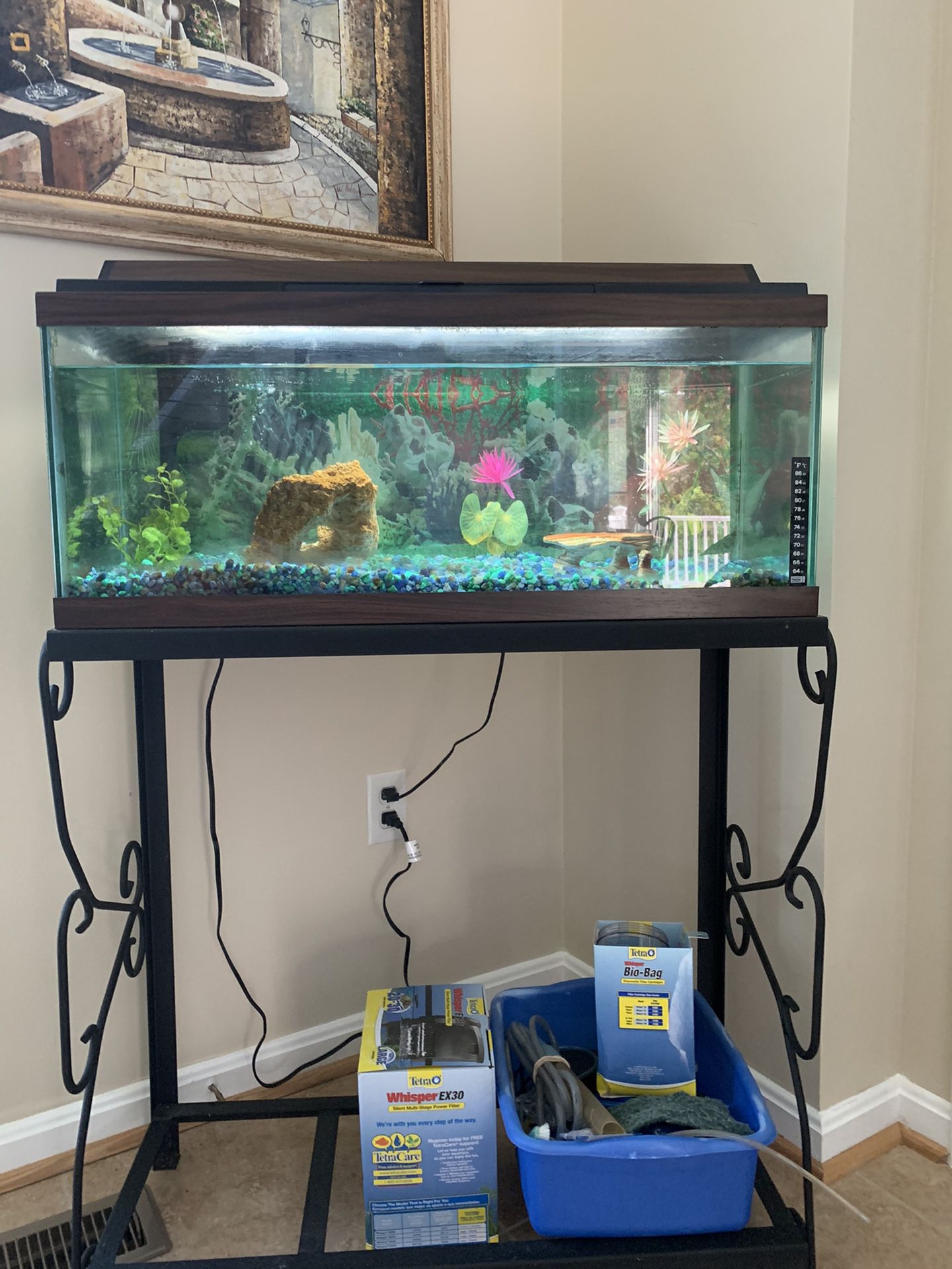 30 gallon aquarium and all the works