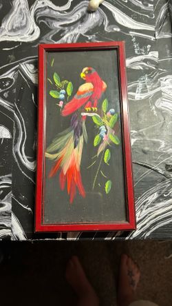 Bird Picture